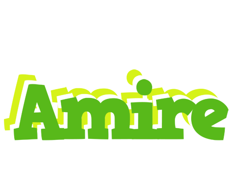Amire picnic logo