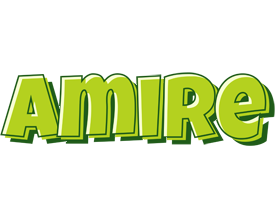 Amire summer logo