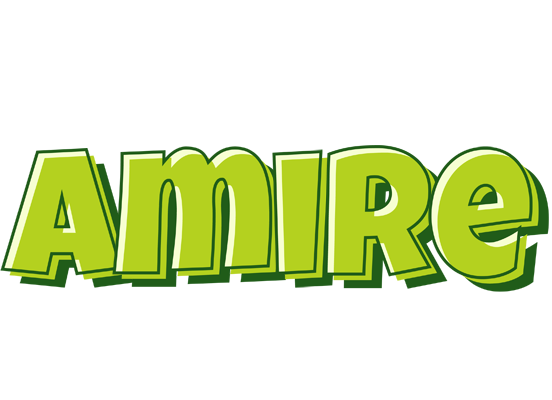 Amire summer logo