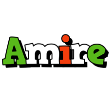 Amire venezia logo