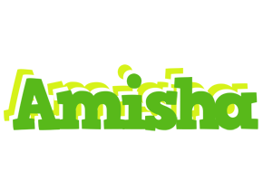 Amisha picnic logo