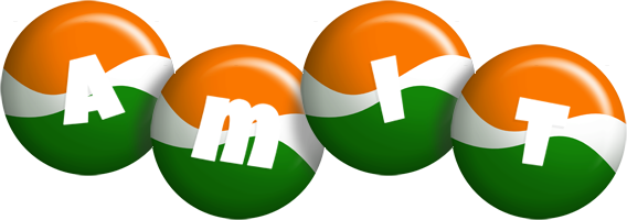 Amit india logo