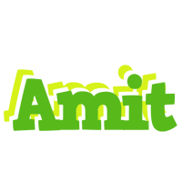 Amit picnic logo