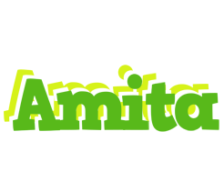 Amita picnic logo