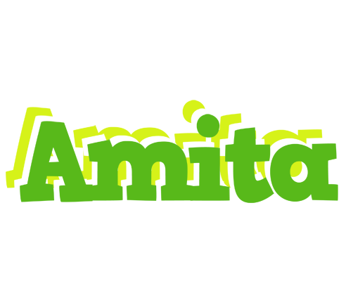 Amita picnic logo
