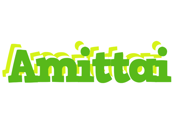 Amittai picnic logo