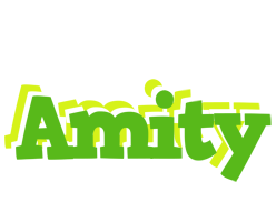 Amity picnic logo