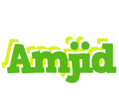 Amjid picnic logo