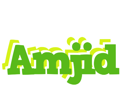 Amjid picnic logo