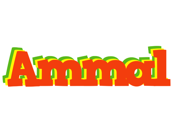 Ammal bbq logo