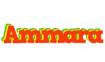 Ammara bbq logo