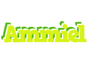 Ammiel citrus logo