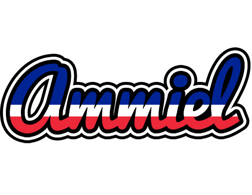 Ammiel france logo