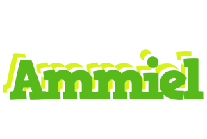 Ammiel picnic logo