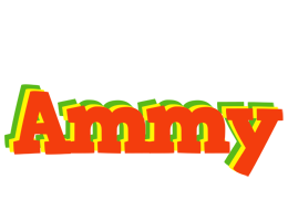 Ammy bbq logo