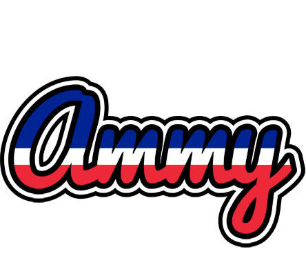 Ammy france logo