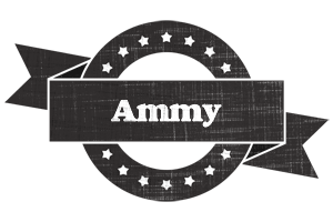 Ammy grunge logo