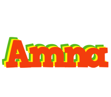 Amna bbq logo