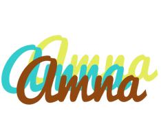 Amna cupcake logo