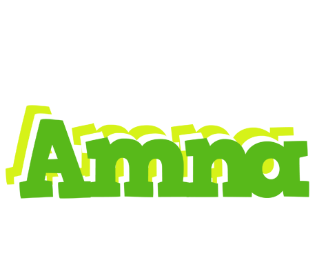 Amna picnic logo