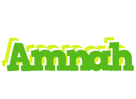 Amnah picnic logo