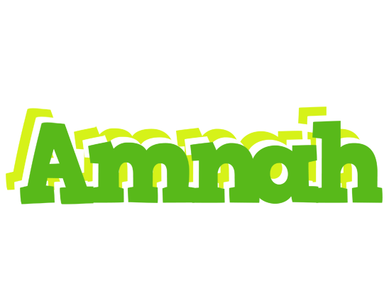 Amnah picnic logo