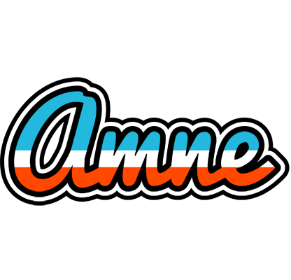 Amne america logo
