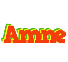 Amne bbq logo