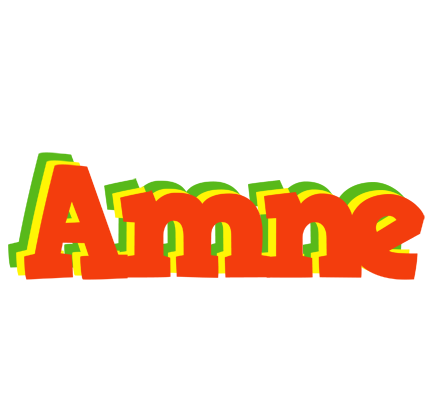 Amne bbq logo