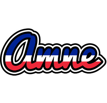 Amne france logo