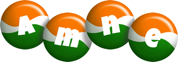 Amne india logo