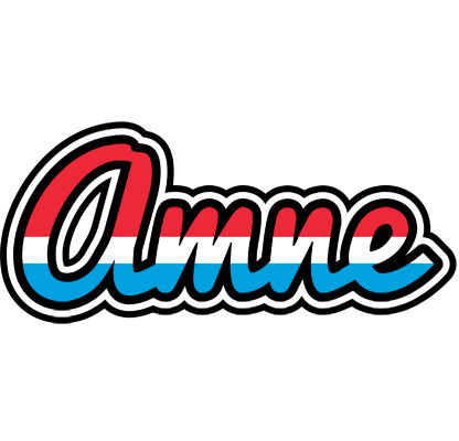 Amne norway logo