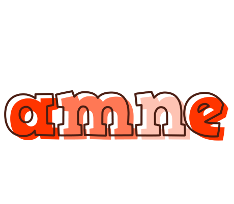 Amne paint logo