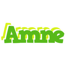 Amne picnic logo