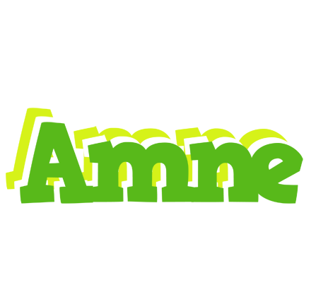 Amne picnic logo
