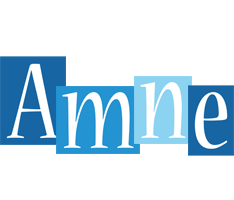 Amne winter logo