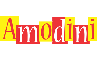 Amodini errors logo