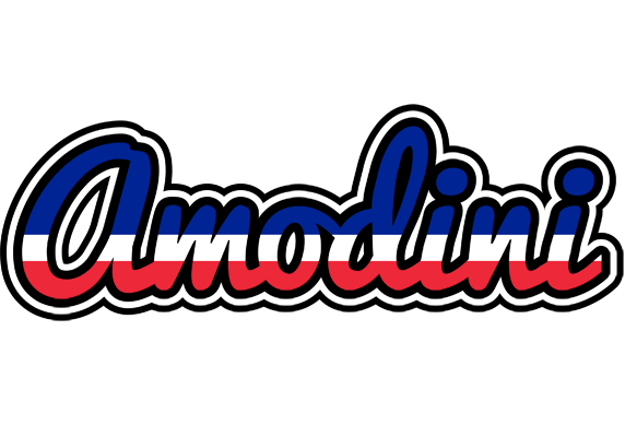 Amodini france logo