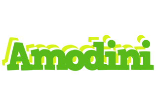 Amodini picnic logo