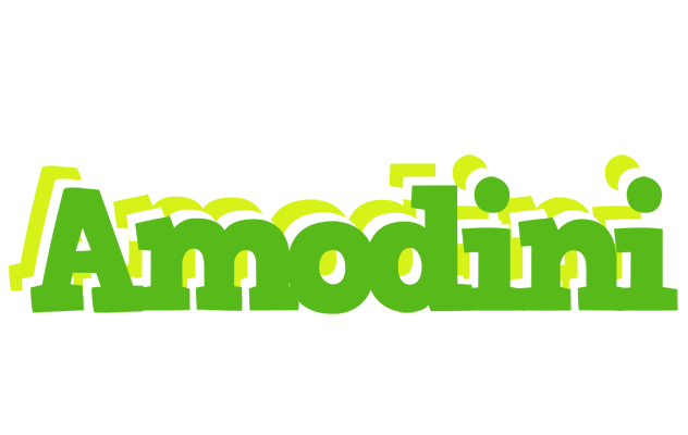 Amodini picnic logo