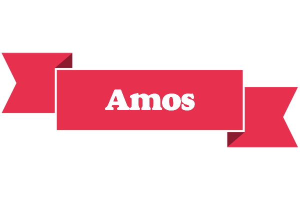 Amos sale logo