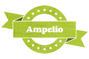 Ampelio change logo