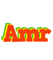 Amr bbq logo