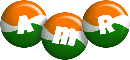 Amr india logo