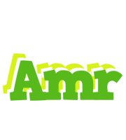 Amr picnic logo