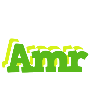 Amr picnic logo