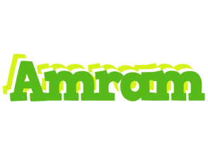 Amram picnic logo