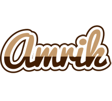 Amrik exclusive logo