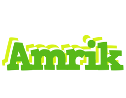 Amrik picnic logo