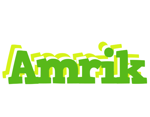 Amrik picnic logo